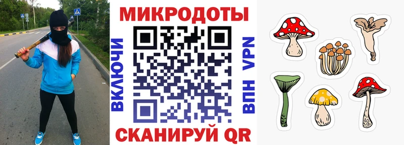 Псилоцибиновые грибы Magic Shrooms что такое блэк спрут как войти Полярный