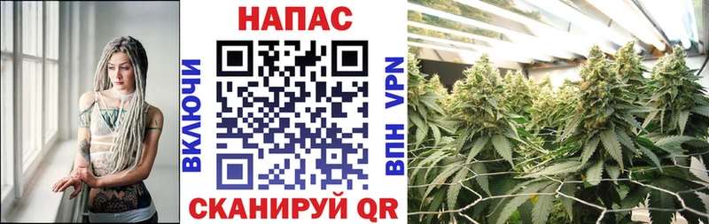 Каннабис сатива  Полярный 